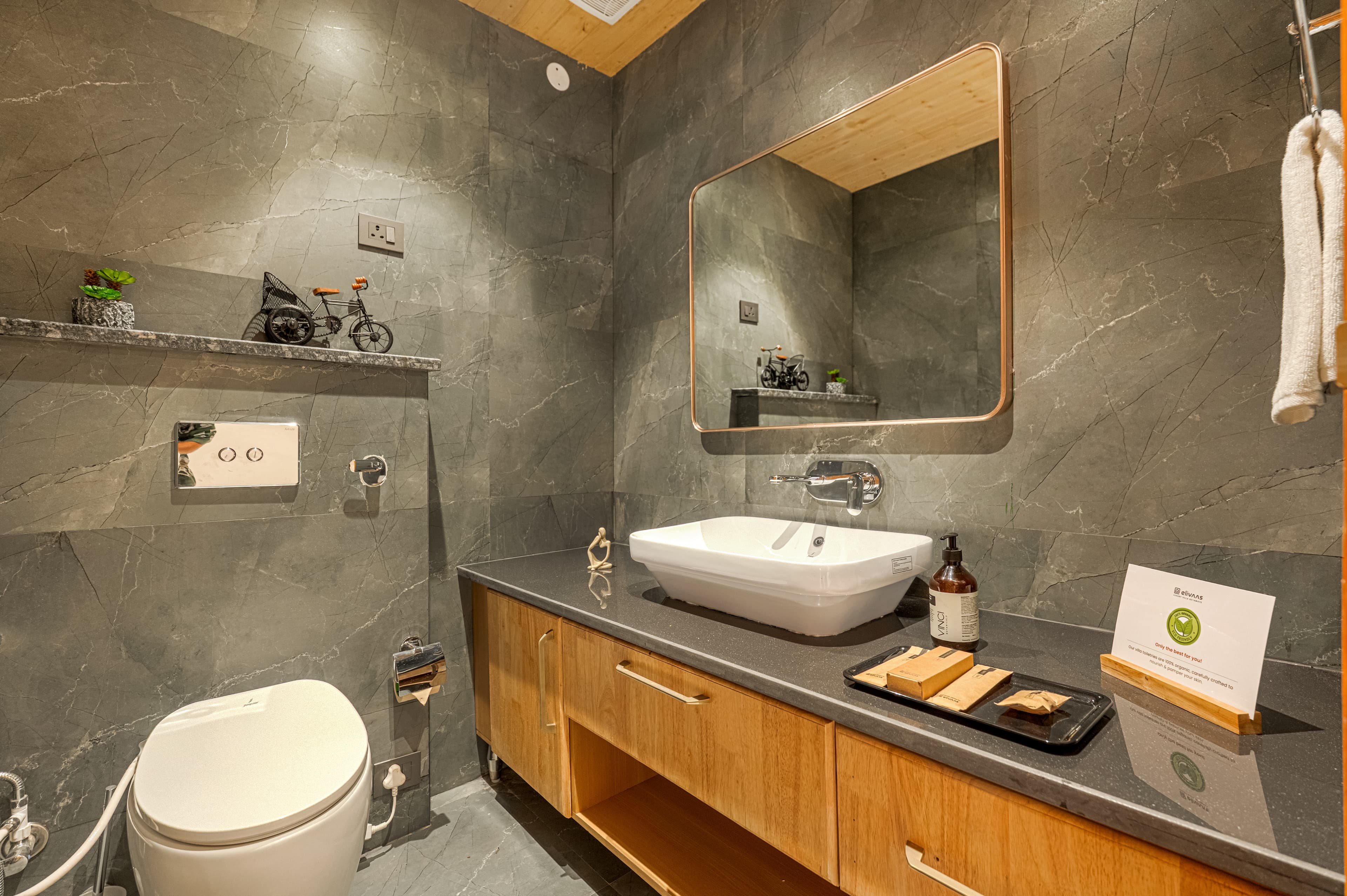Bask and Blessings Meadows | 3- BHK Pet-Friendly Villa With Shared Jacuzzi, Spa, Garden And Gazebo - Image 12