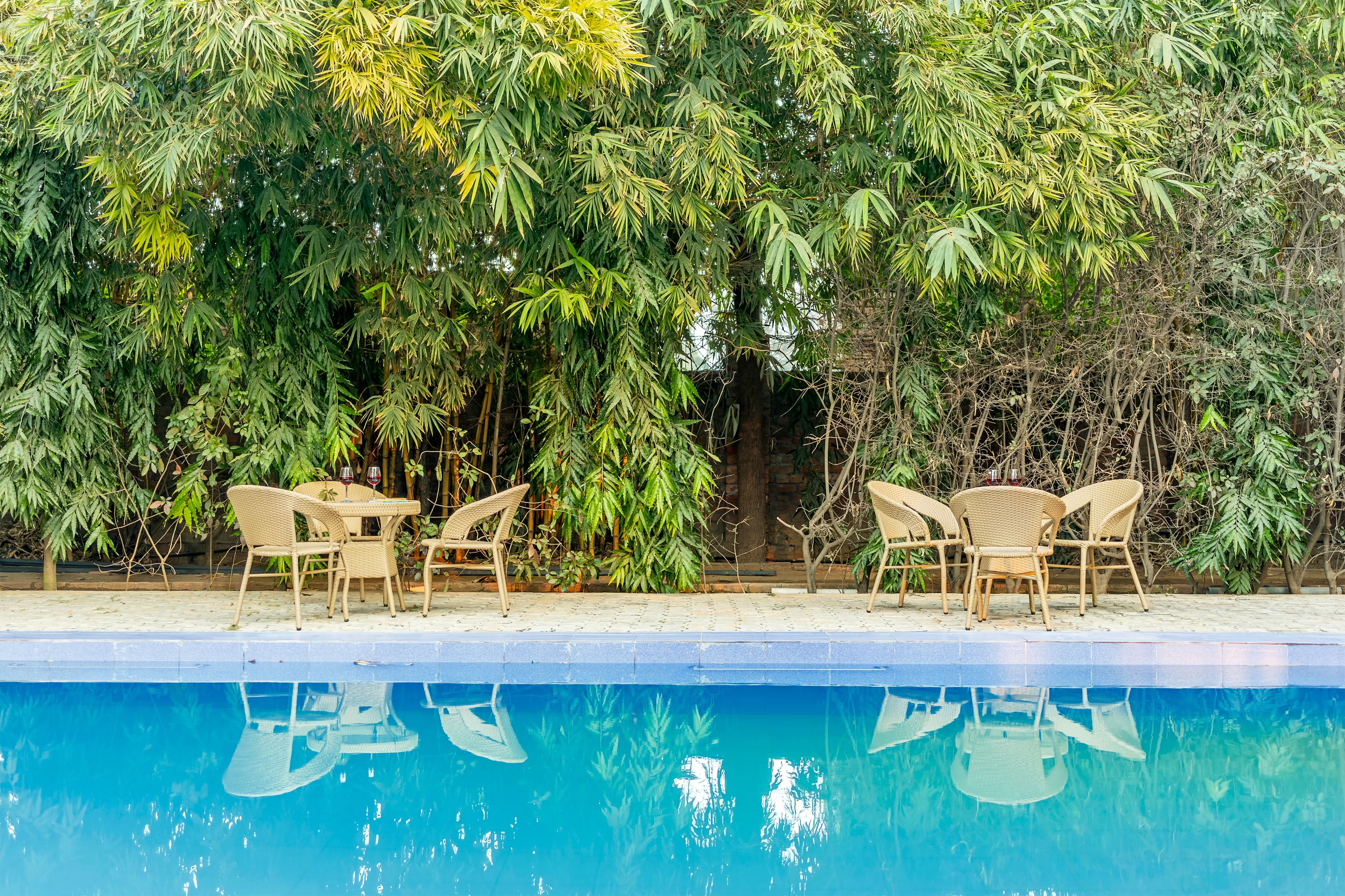 Parinita farm  | 4-BHK Villa with Private Pool, Garden Area & Gazebo - Image 7