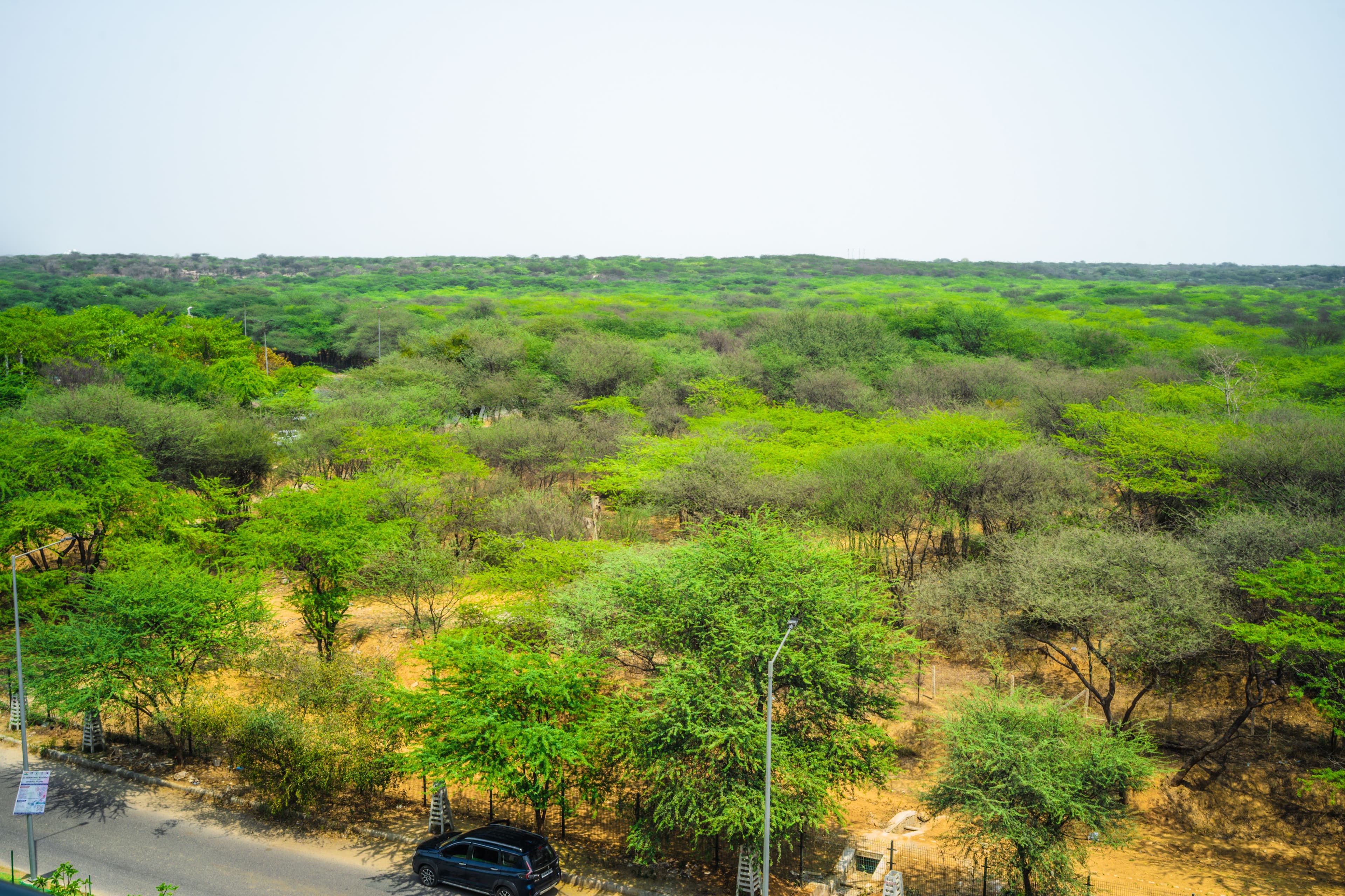 Eternal Oasis Aravali View Suite | Elegant 1-Room With Restaurant & Celebration Venue | Golf Course Road - Image 26