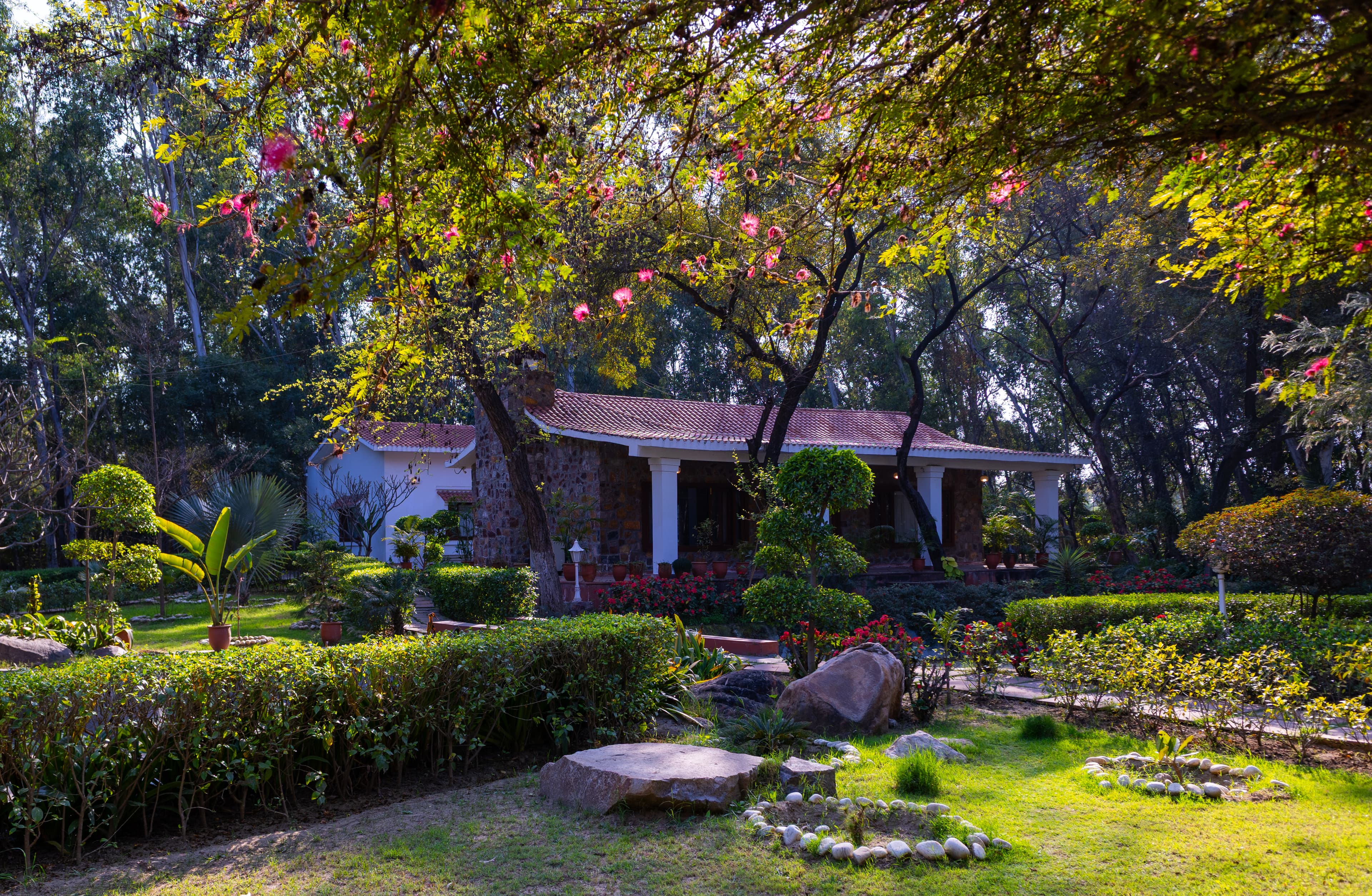 Aravalli Reserve The Lotus | Pet-friendly 3-BHK Villa with Private Pool, Lotus Pond, Gazebo & Jacuzzi - Image 5