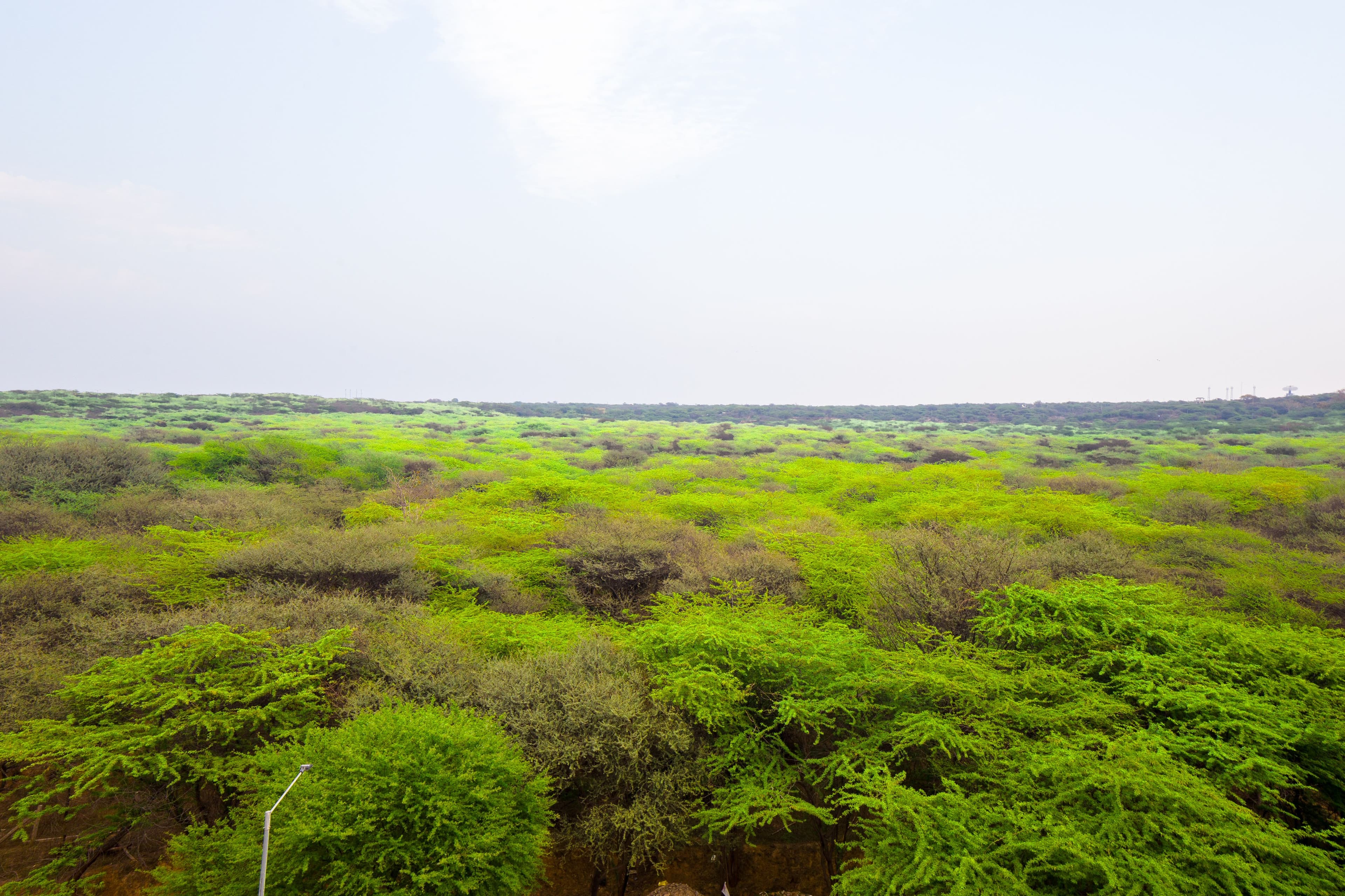 Eternal Oasis Aravali View Suite | Elegant 1-Room With Restaurant & Celebration Venue | Golf Course Road - Image 4