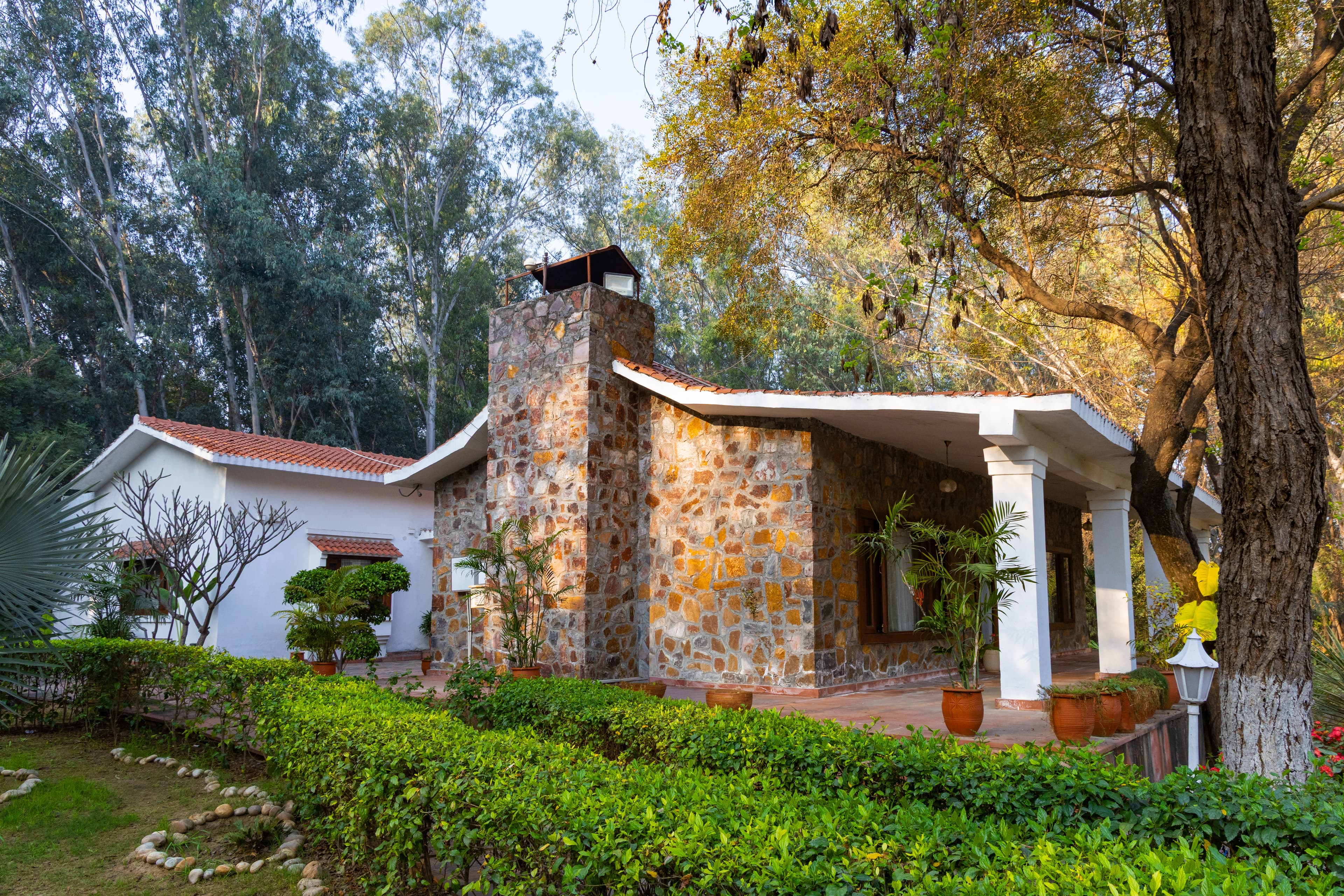 Aravalli Reserve The Lotus | Pet-friendly 3-BHK Villa with Private Pool, Lotus Pond, Gazebo & Jacuzzi - Image 35