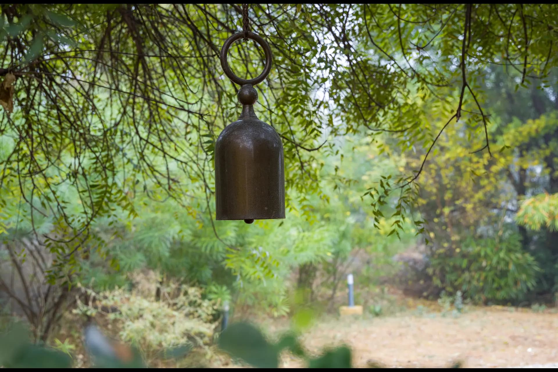 Hari Bagh Farmhouse | Pet-friendly Organic Farm With Art Nook, Pond & Gaming Room - Image 52