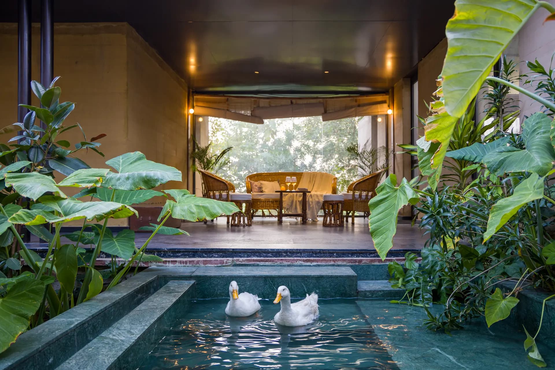 Hari Bagh Farmhouse | Pet-friendly Organic Farm With Art Nook, Pond & Gaming Room - Image 1