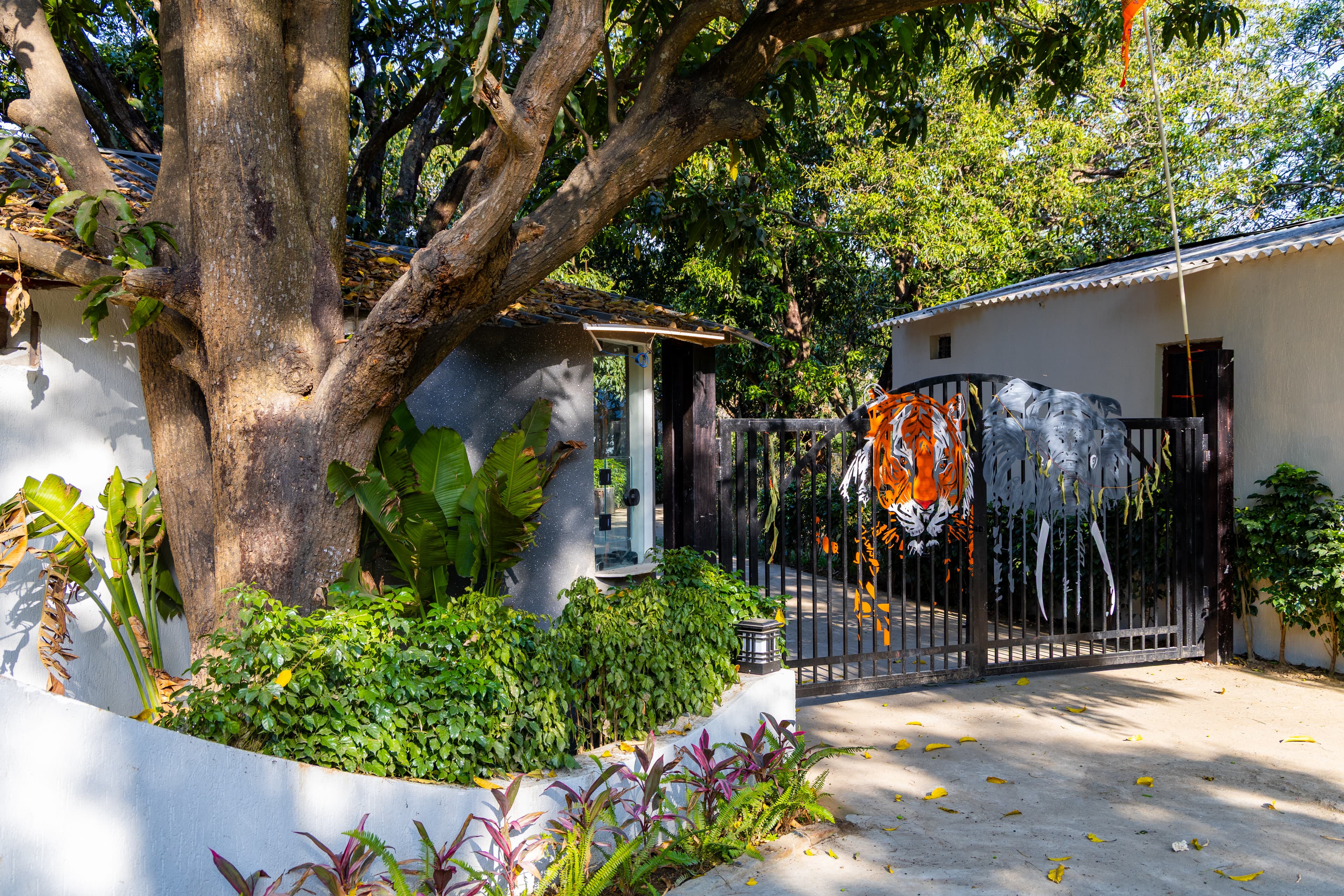 Sylvaara Meadow | Suite with Common Glasshouse Dining, Garden & Unique Experiences like Thrilling Jungle Safaris - Image 24