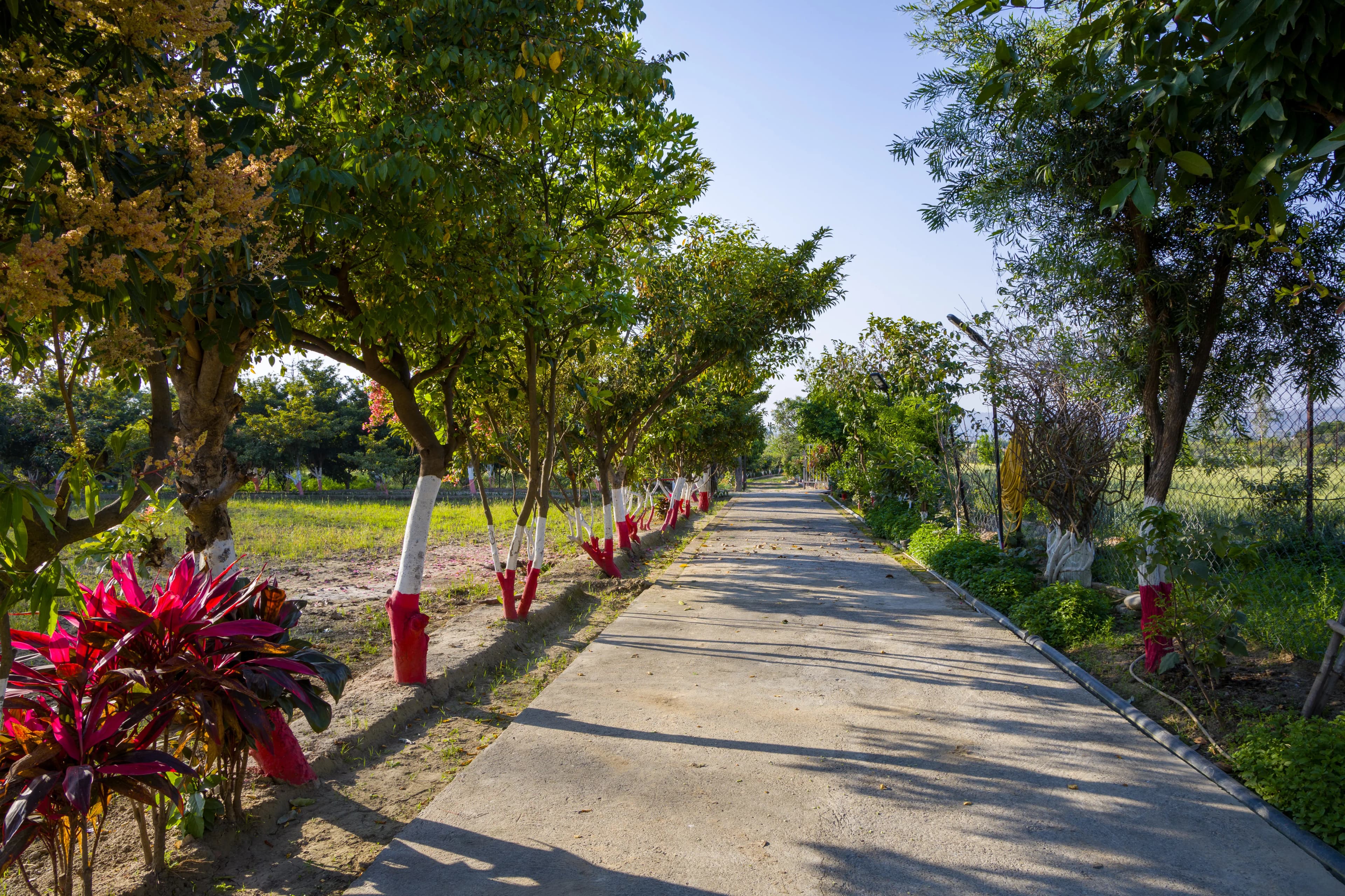 Farm Naturelle | 3-BHK Farmhouse Near Jim Corbett With Garden, Terrace & Orchards - Image 15