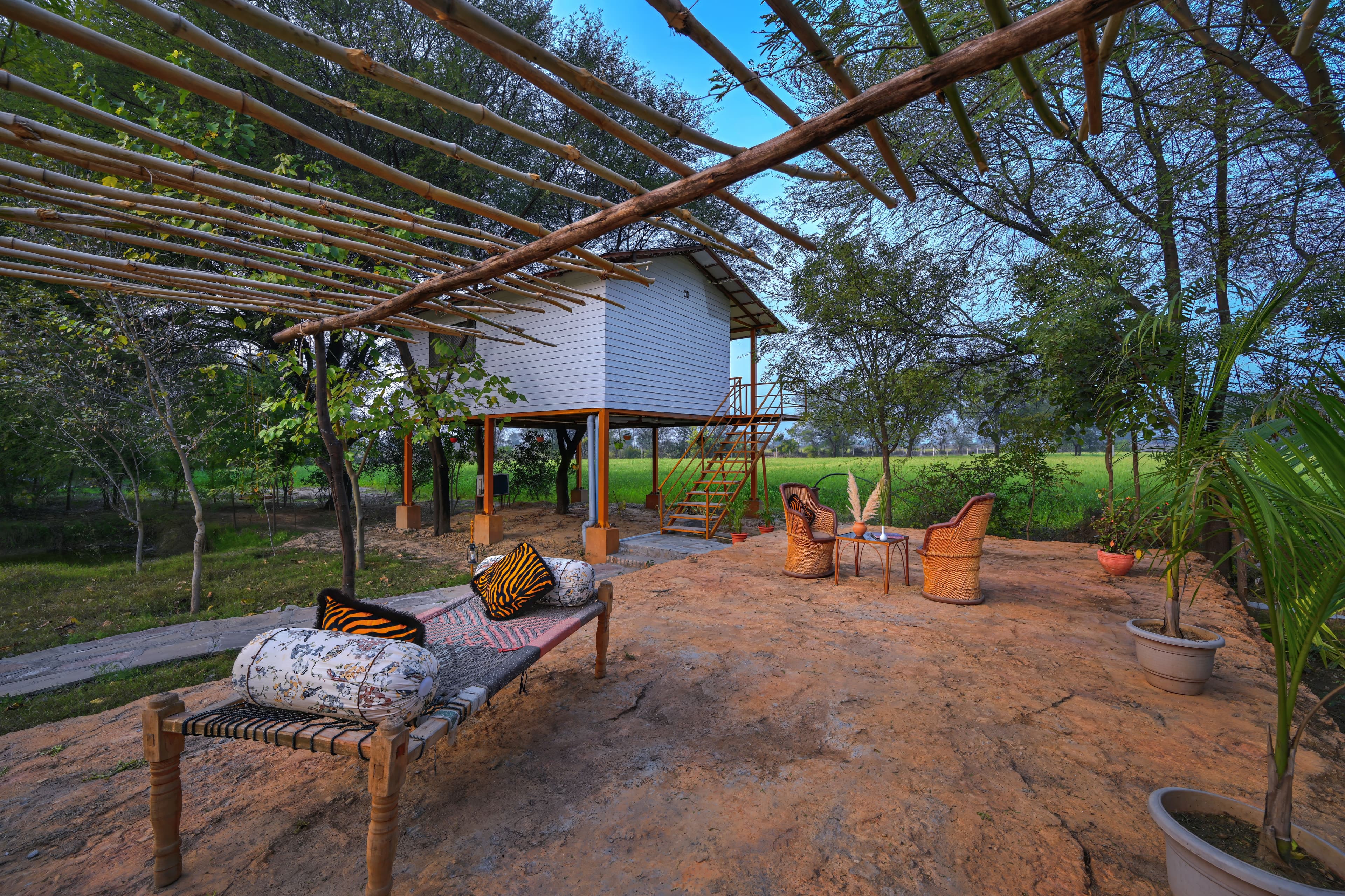 Bagh Serai | Pet-friendly Tree-House on 5-Acre Forested Land With Common Pool, Restro & Views - Image 10