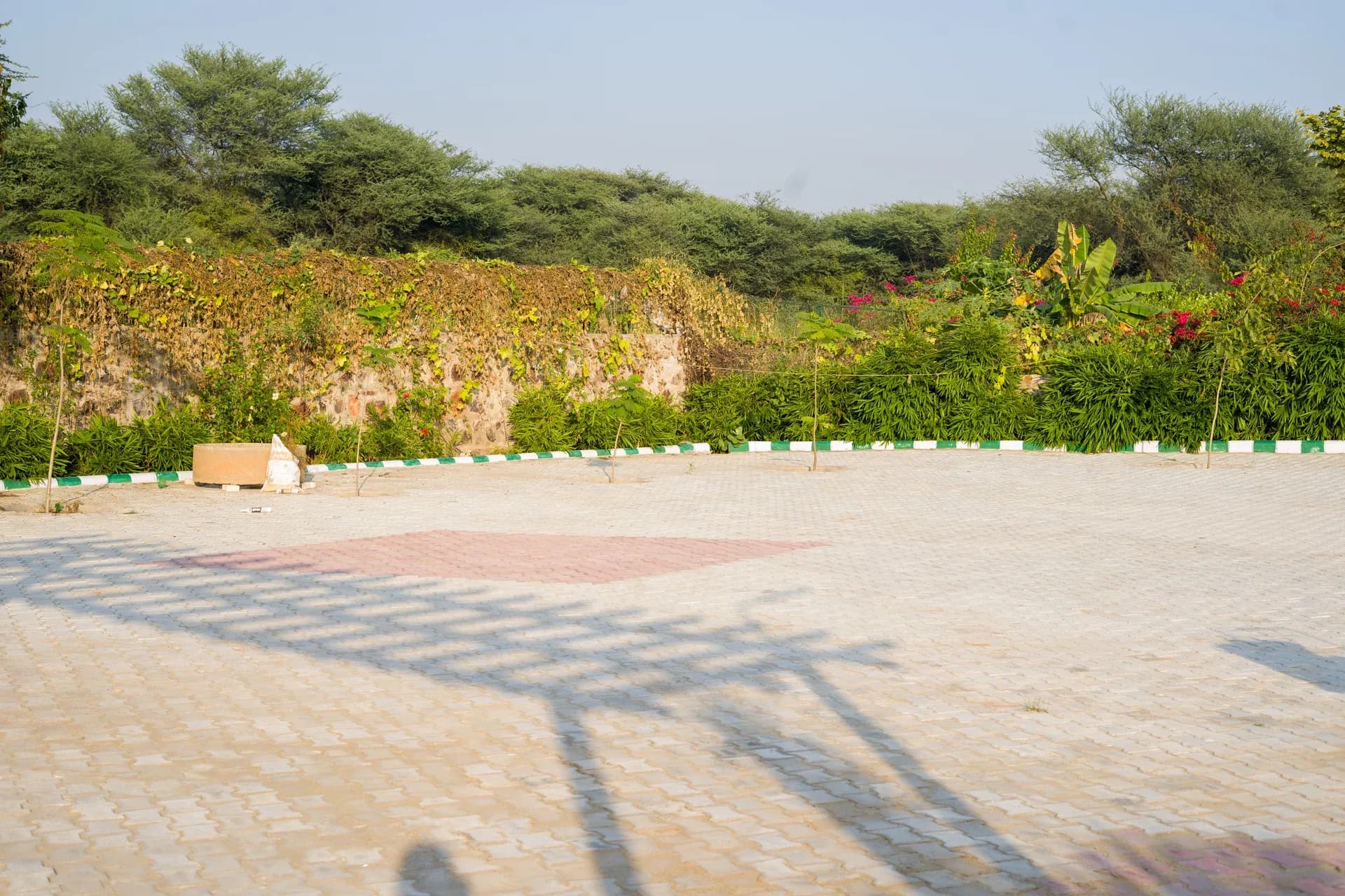 Zenora | Pet-friendly 5-BHK Farmhouse With Pvt Pool, Garden & Terrace  - Image 46