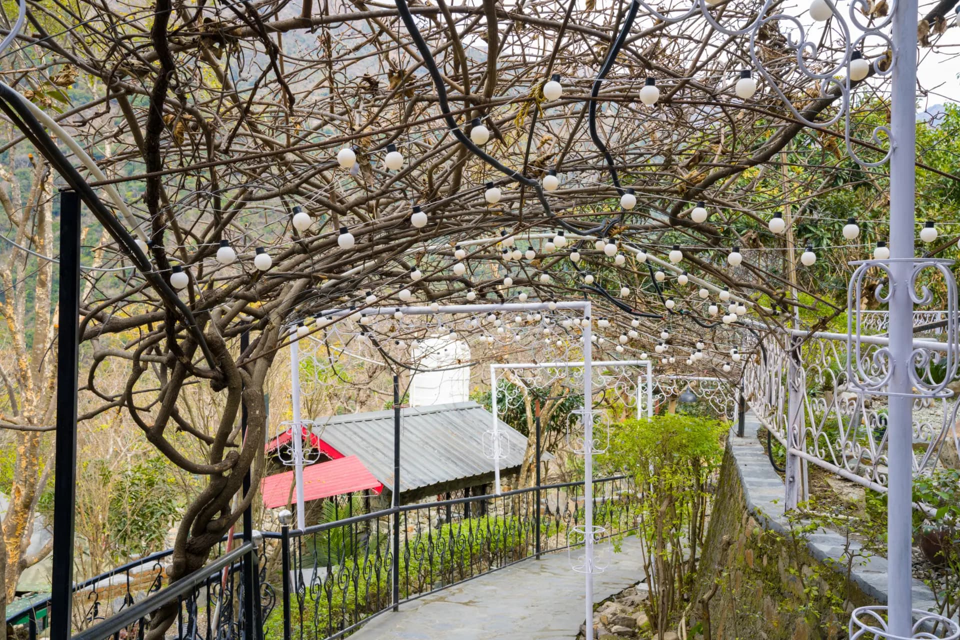 Zephyr Timberhill | Tranquil Hilltop Escape with Pool, Tea House & Dining - Image 12
