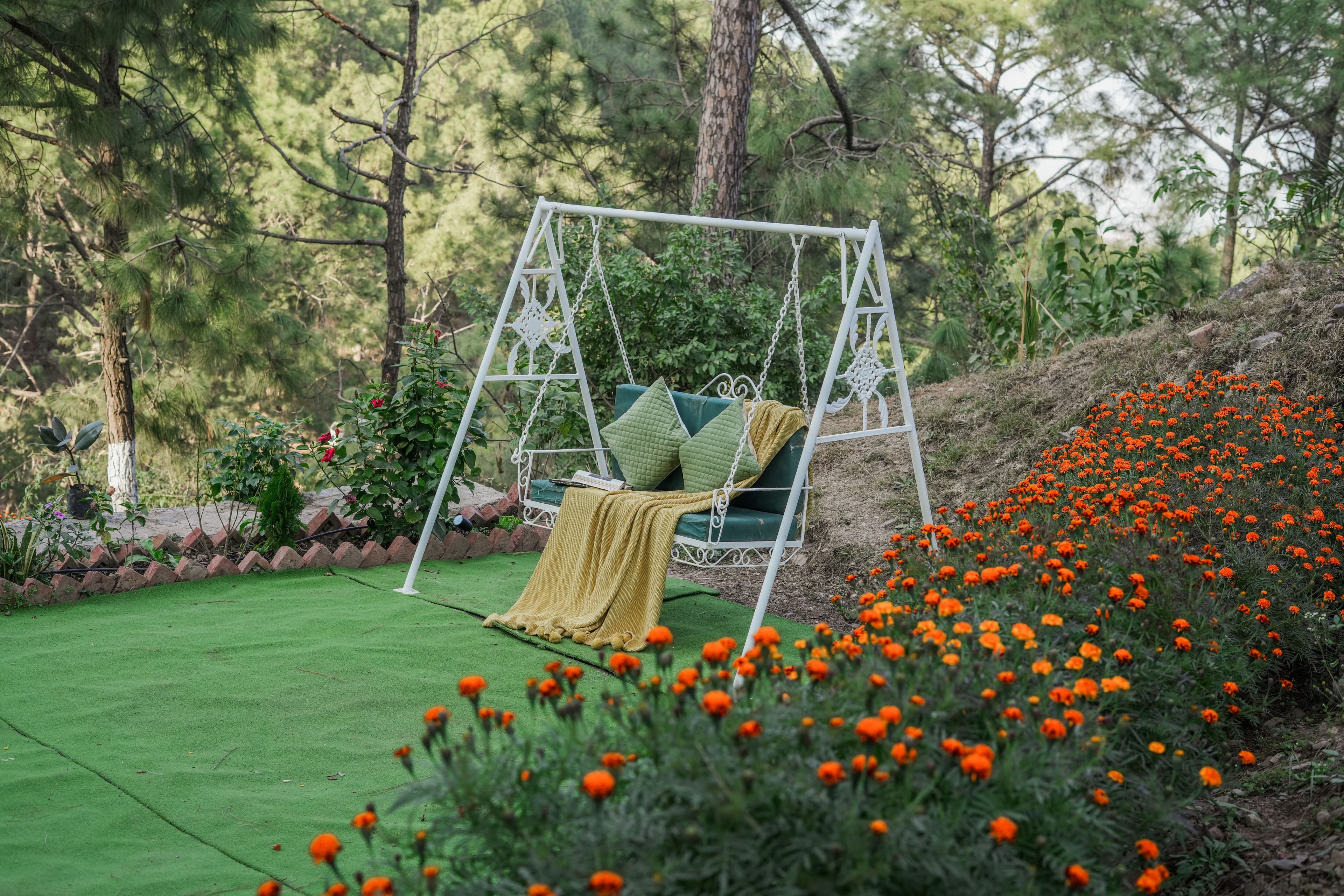 Pine View Resort | Pet-friendly Hilltop 1-Suite With Garden-Facing Balcony, Rooftop lounge, Restro & Game Zone - Image 20