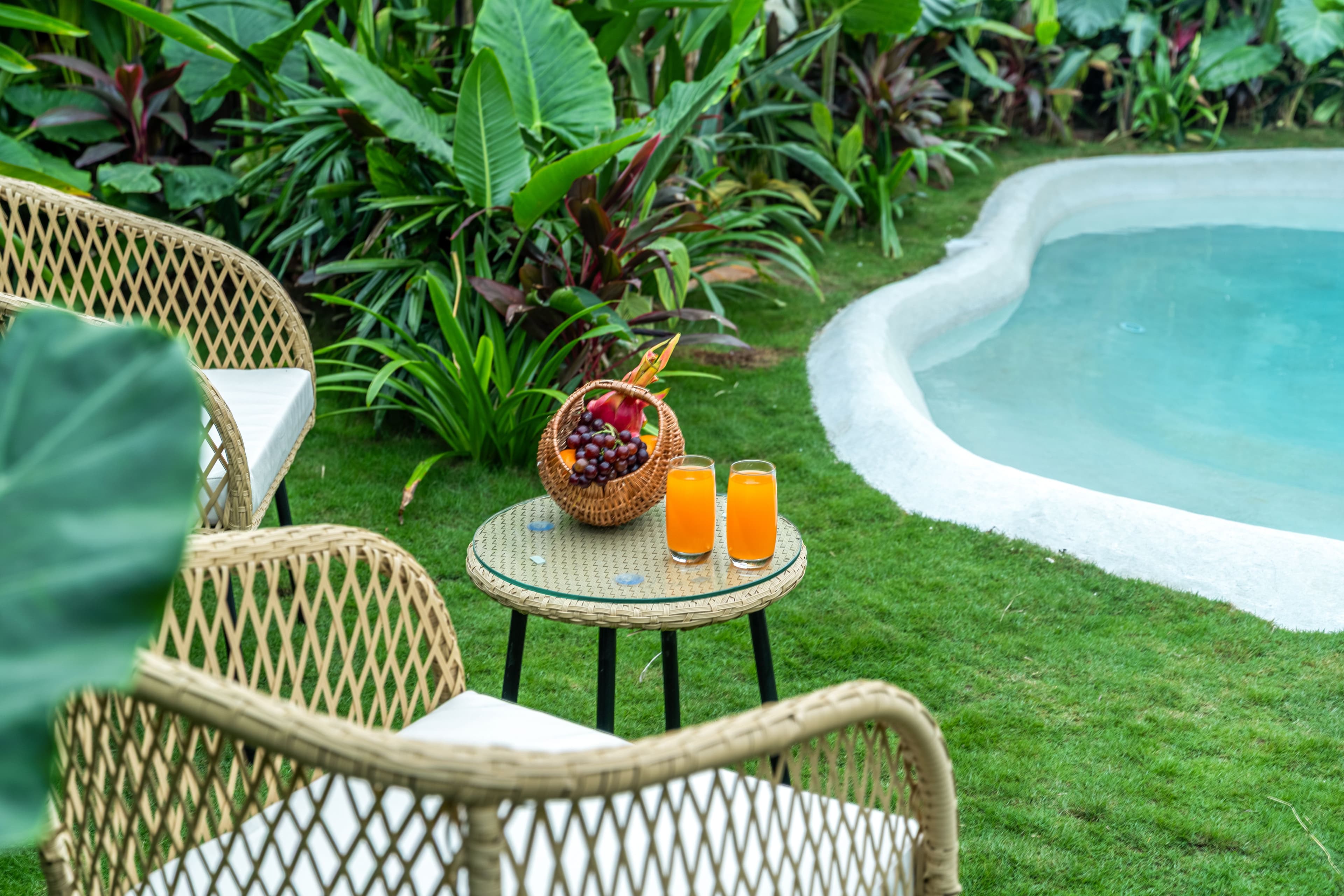 Mallai by ELIVAAS |  Pet-friendly 2-Room Suite With  Private Garden, Sit out, & Plunge Pool | 15 Mins from Panch Ratnas - Image 9
