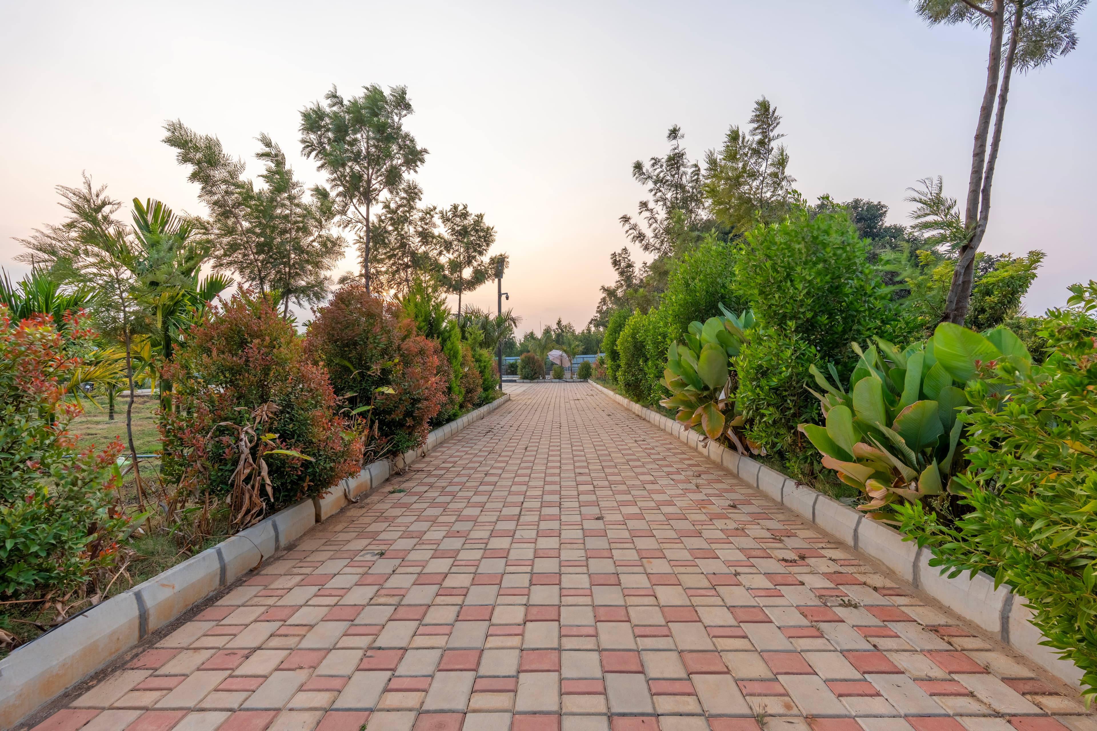 Courtyard Banyan | Rustic 2-BHK Pet-friendly Villa with Pool, Gazebo Amid Banyan Trees | Near Nandi Hills - Image 31