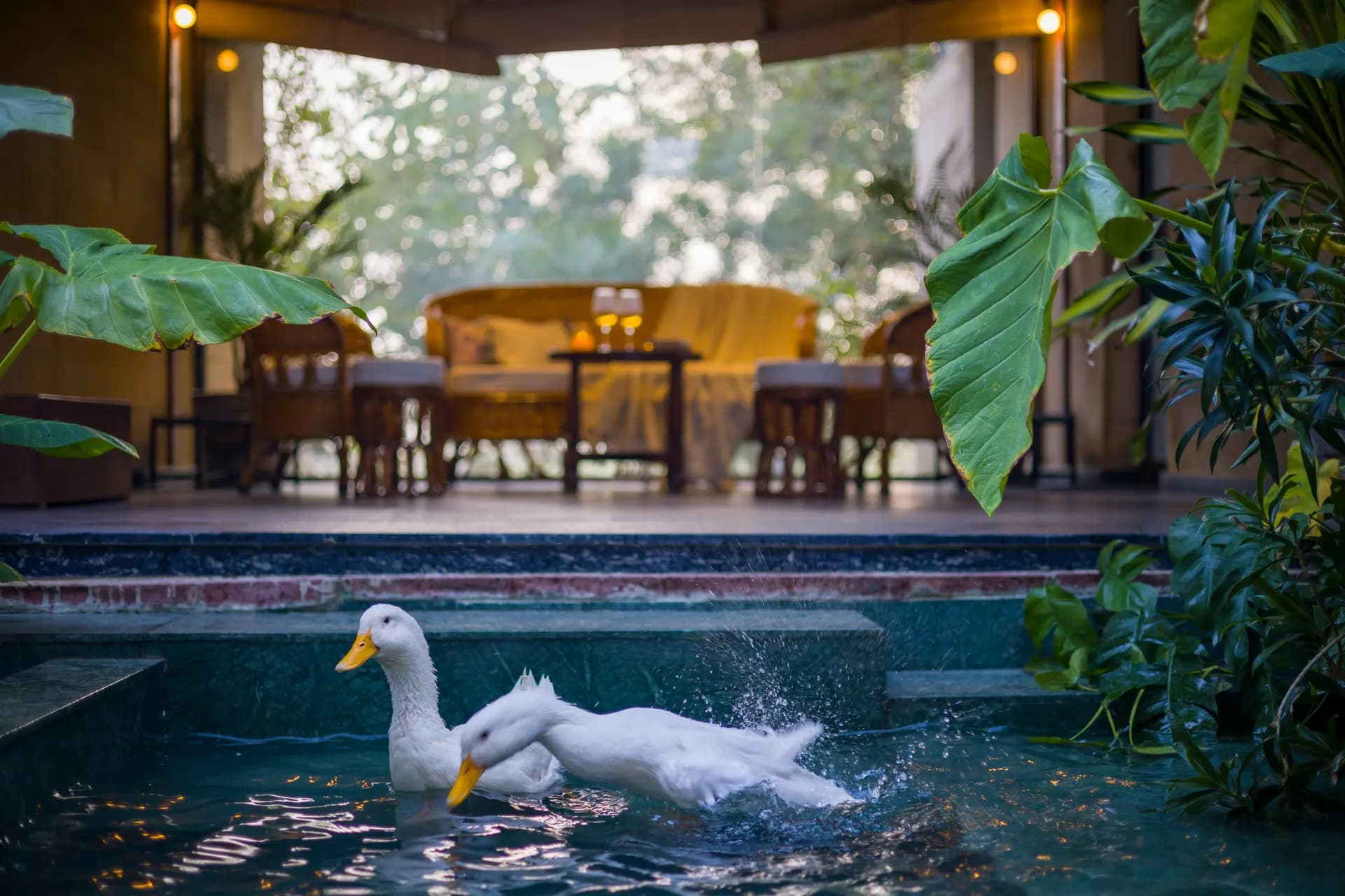 Hari Bagh Farmhouse | Pet-friendly Organic Farm With Art Nook, Pond & Gaming Room - Image 15