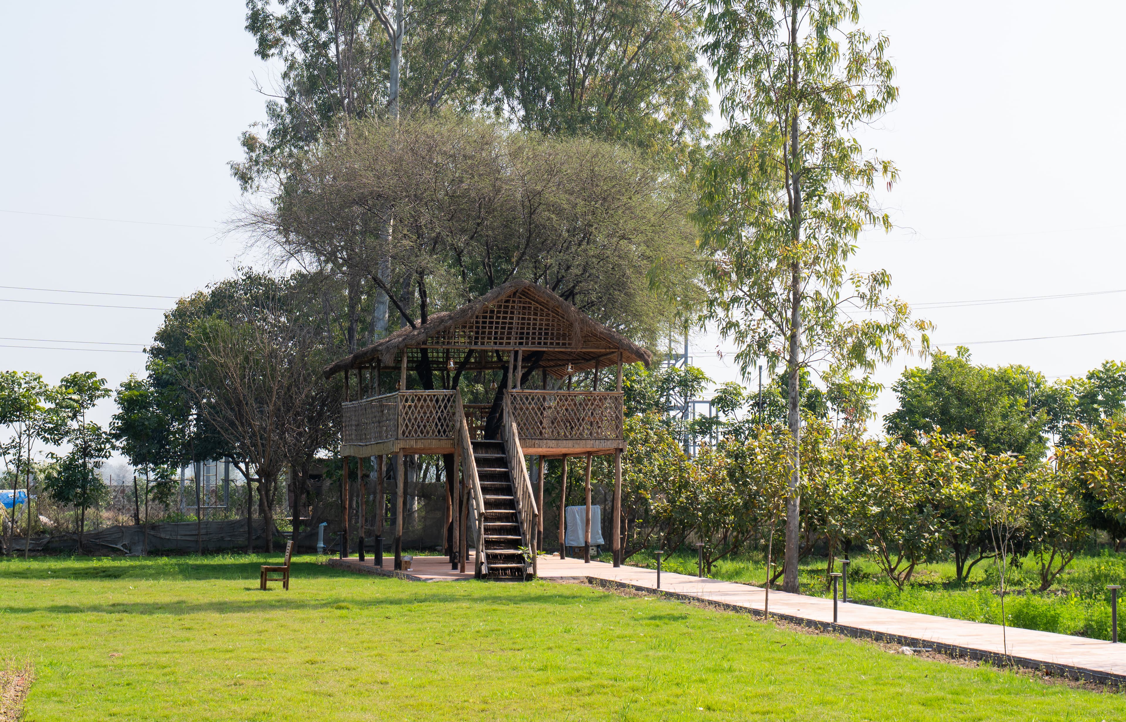 Aanandam Villas and Resort | Pet-friendly Super Deluxe Room With Shared Pool, Restro & Garden - Image 19