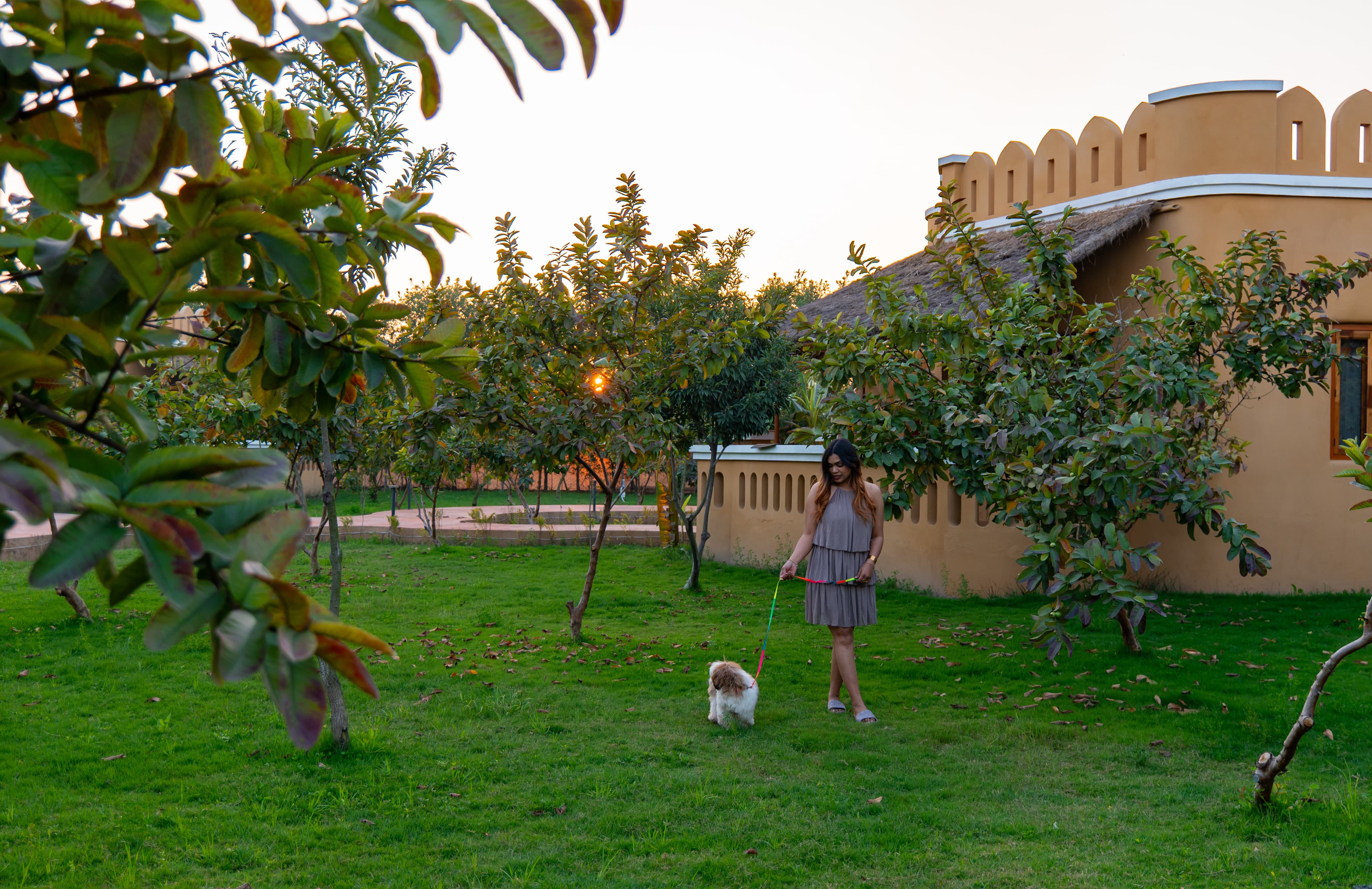 Aanandam Villas and Resort | Pet-friendly Standard Room With Shared Pool, Restaurant & Garden - Image 14