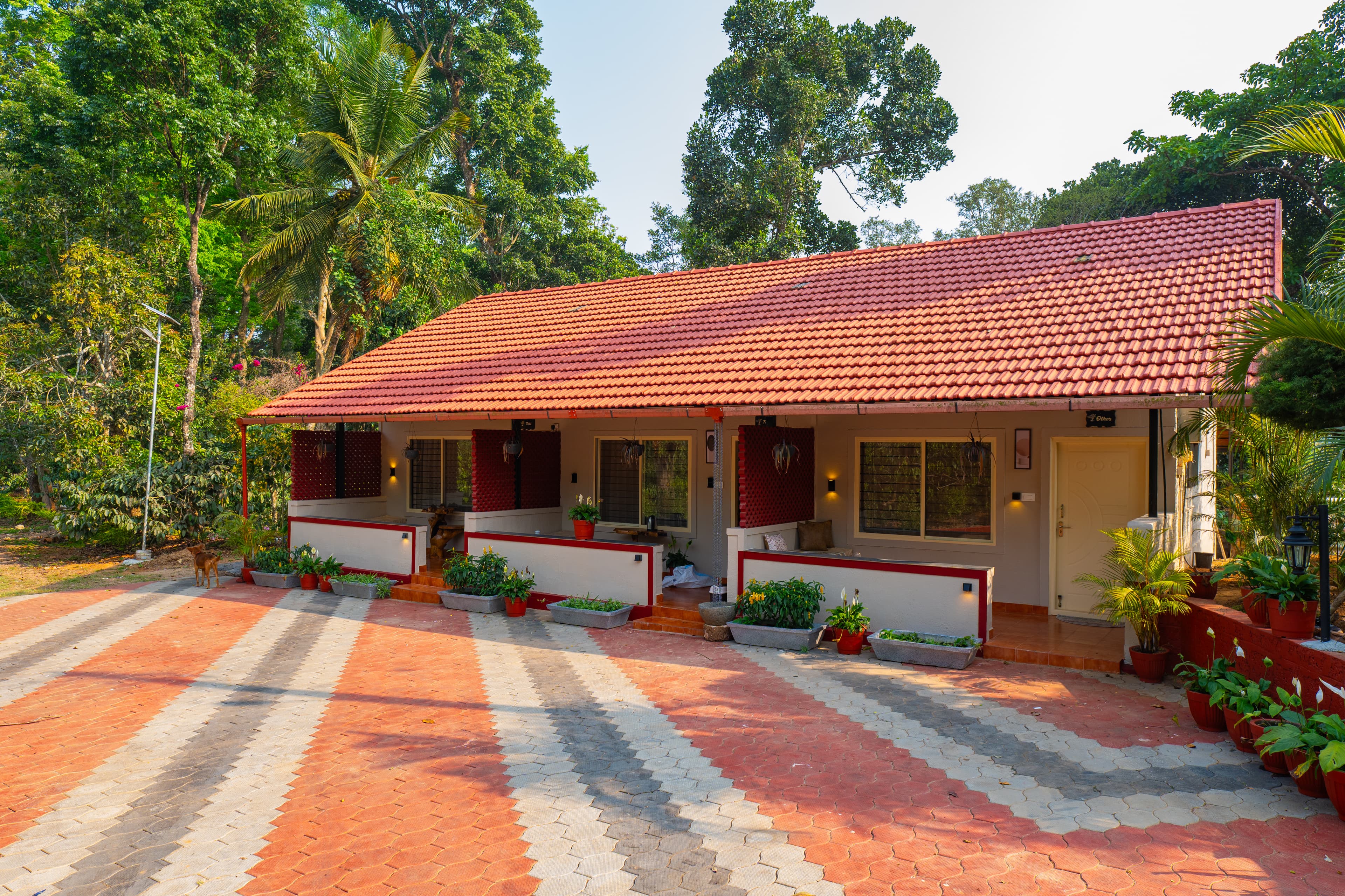 Twisted Tree | 1- Room Suite with Shared Pool & Restaurant - Image 1