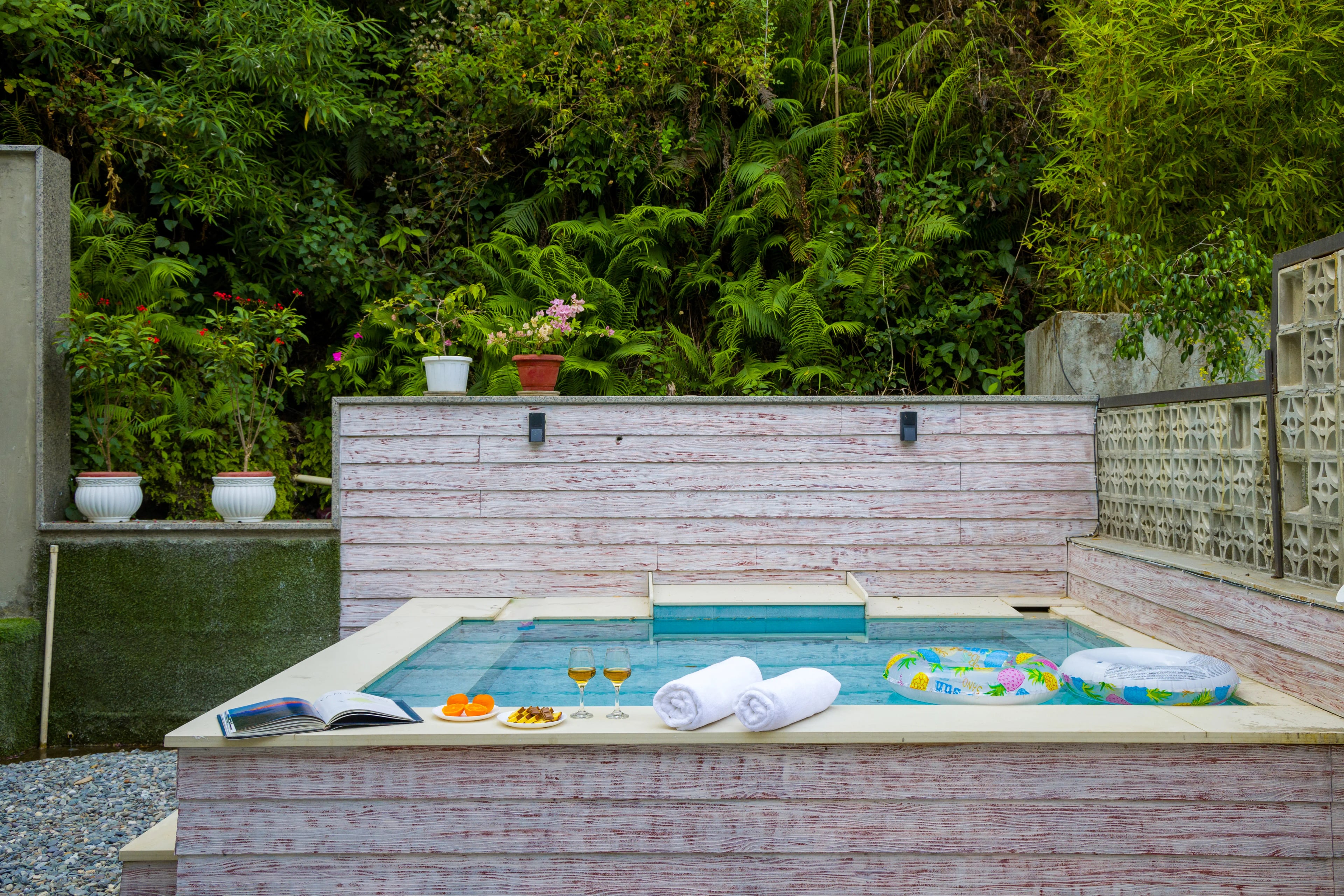 Serenita Abode | 3-BHK Villa With Plunge Pool, Garden & Terrace Near Sahastradhara — photo 3