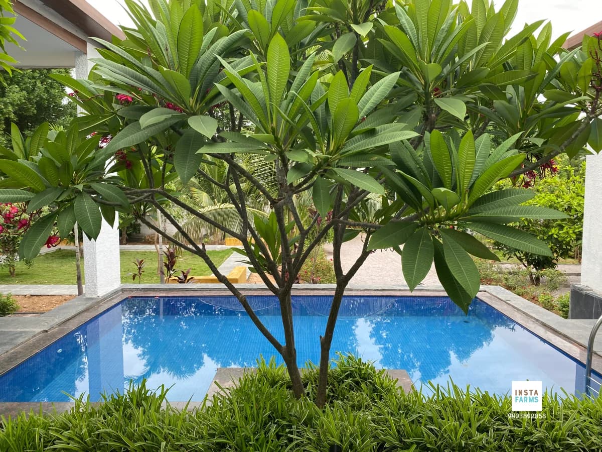 GS Farms - 2BR Pool Villa 2