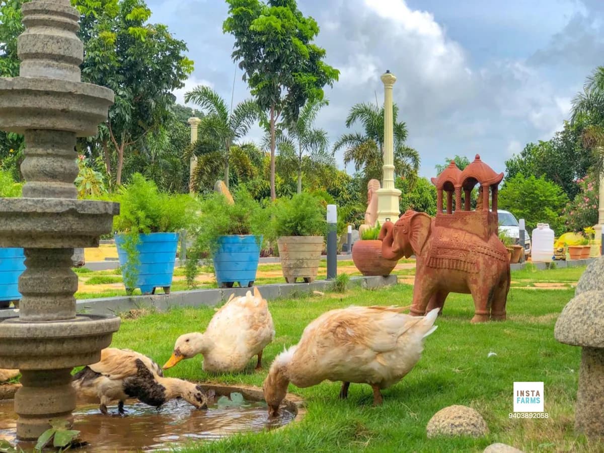 Syna Pearl - 5BR Pool Villa 3